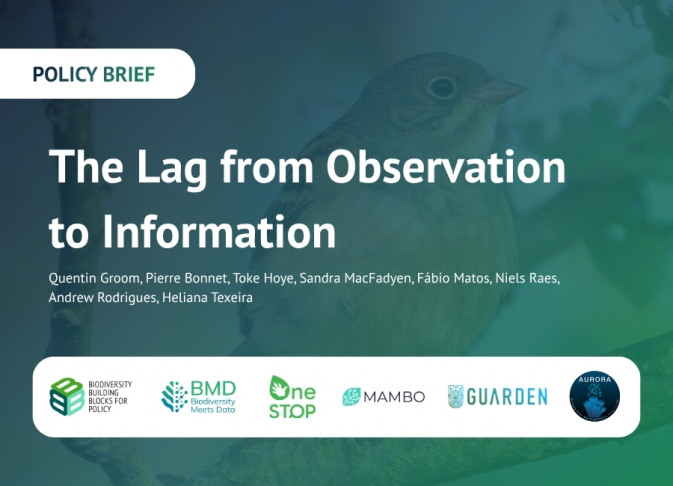 Six research projects work together to reduce the lag between biodiversity data and action
