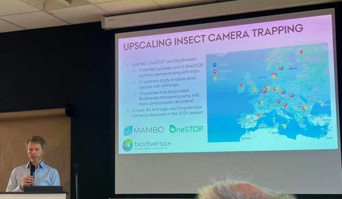 Presentation on the use of automated insects camera traps at the Future for Butterflies & Moths symposium