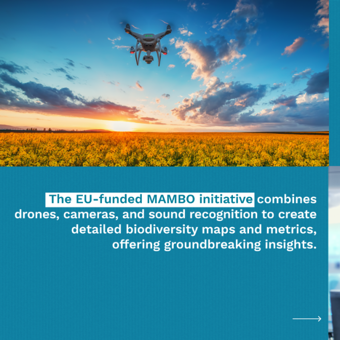 MAMBO featured in Horizon Magazine: "Researchers combine citizens’ help and cutting-edge tech to track biodiversity"
