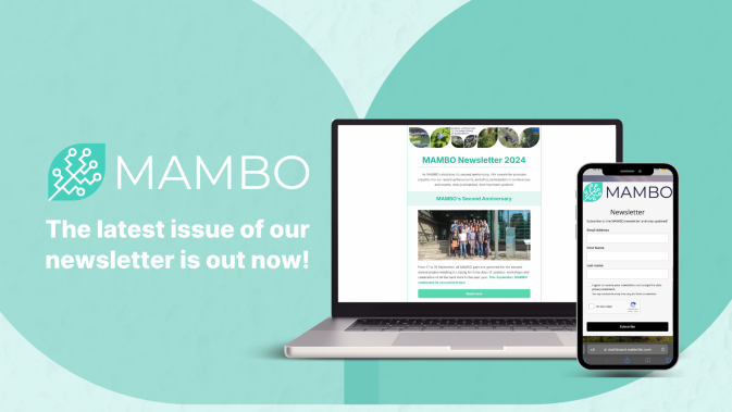 MAMBO Annual Newsletter is in your boxes now!
