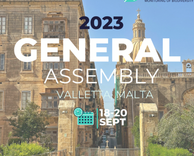 MAMBO partners meet in Malta for the Second Annual Consortium Meeting - 18-20 September, 2023