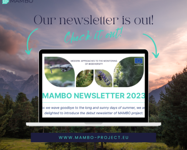 MAMBO's first project newsletter