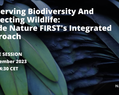 Preserving biodiversity and protecting wildlife: Inside nature first’s integrated approach