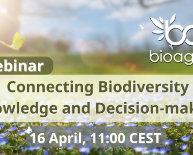 BioAgora organised a webinar, titled "Connecting Biodiversity Knowledge & Decision-Making"