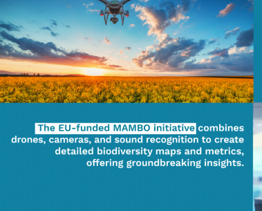 MAMBO featured in Horizon Magazine: "Researchers combine citizens’ help and cutting-edge tech to track biodiversity"
