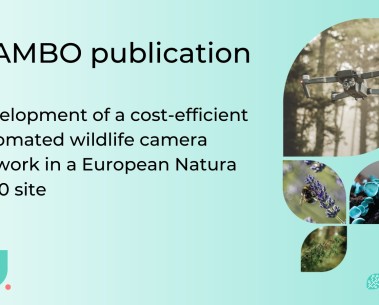 MAMBO partner contributes to a field study in a Dutch European Natura 2000 site