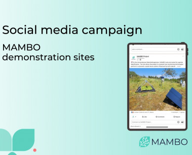 Latest social media campaign focuses on MAMBO’s demonstration sites