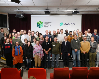 MAMBO's final in-person meeting takes place in Montpellier