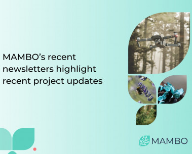 Two newsletters highlight recent project updates