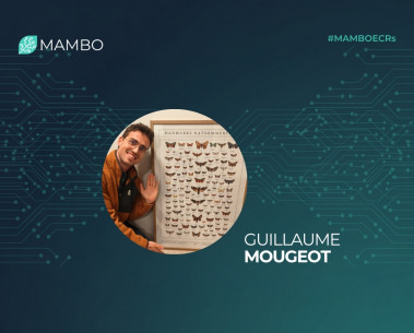 Behind the research: Guillaume Mougeot