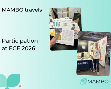 Highlights from MAMBO’s participation in ECE 2026