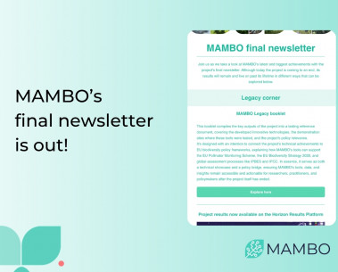 MAMBO's final newsletter is out