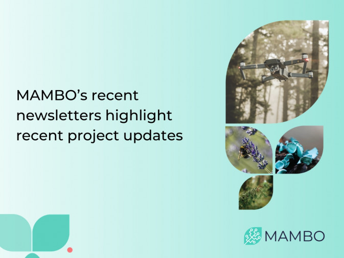 Two newsletters highlight recent project updates
