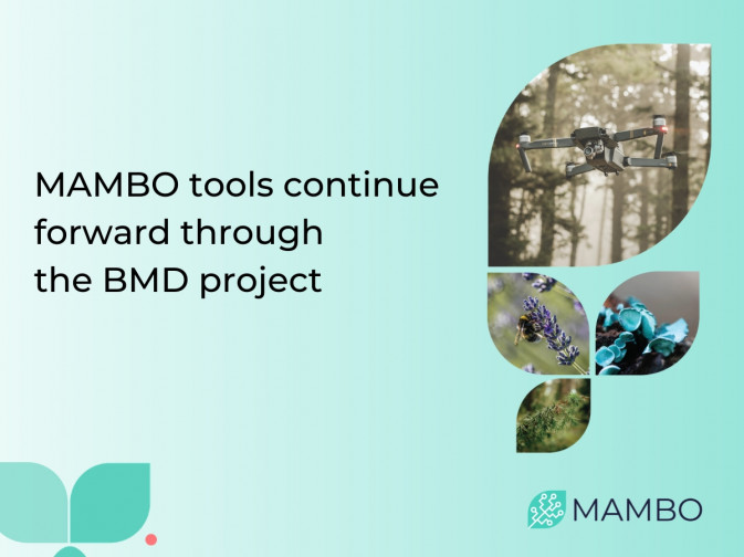 MAMBO's mission continues with BMD