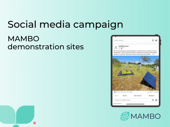 Latest social media campaign focuses on MAMBO’s demonstration sites