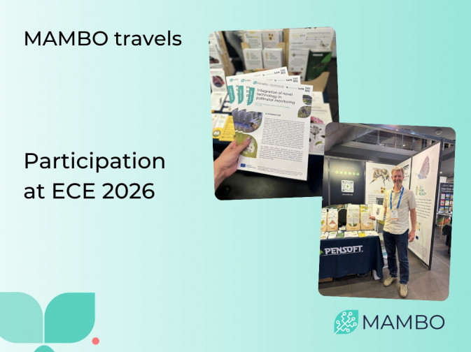 Highlights from MAMBO’s participation in ECE 2026