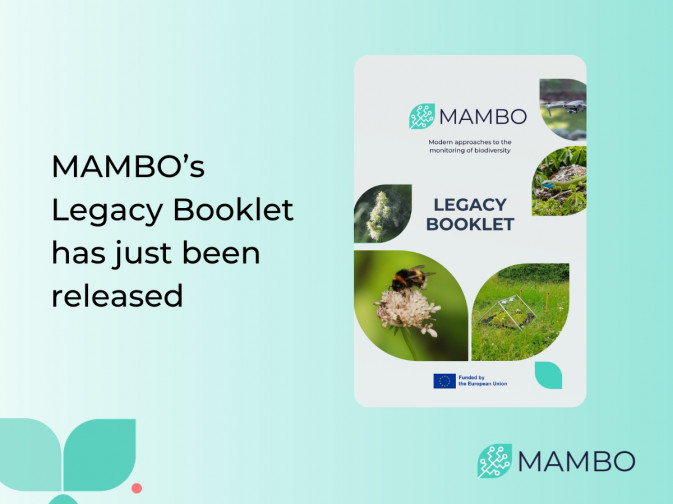 MAMBO releases its Legacy Booklet