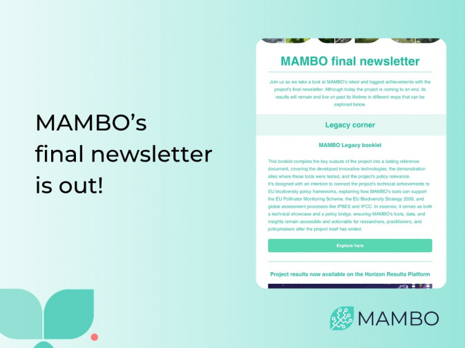 MAMBO's final newsletter is out